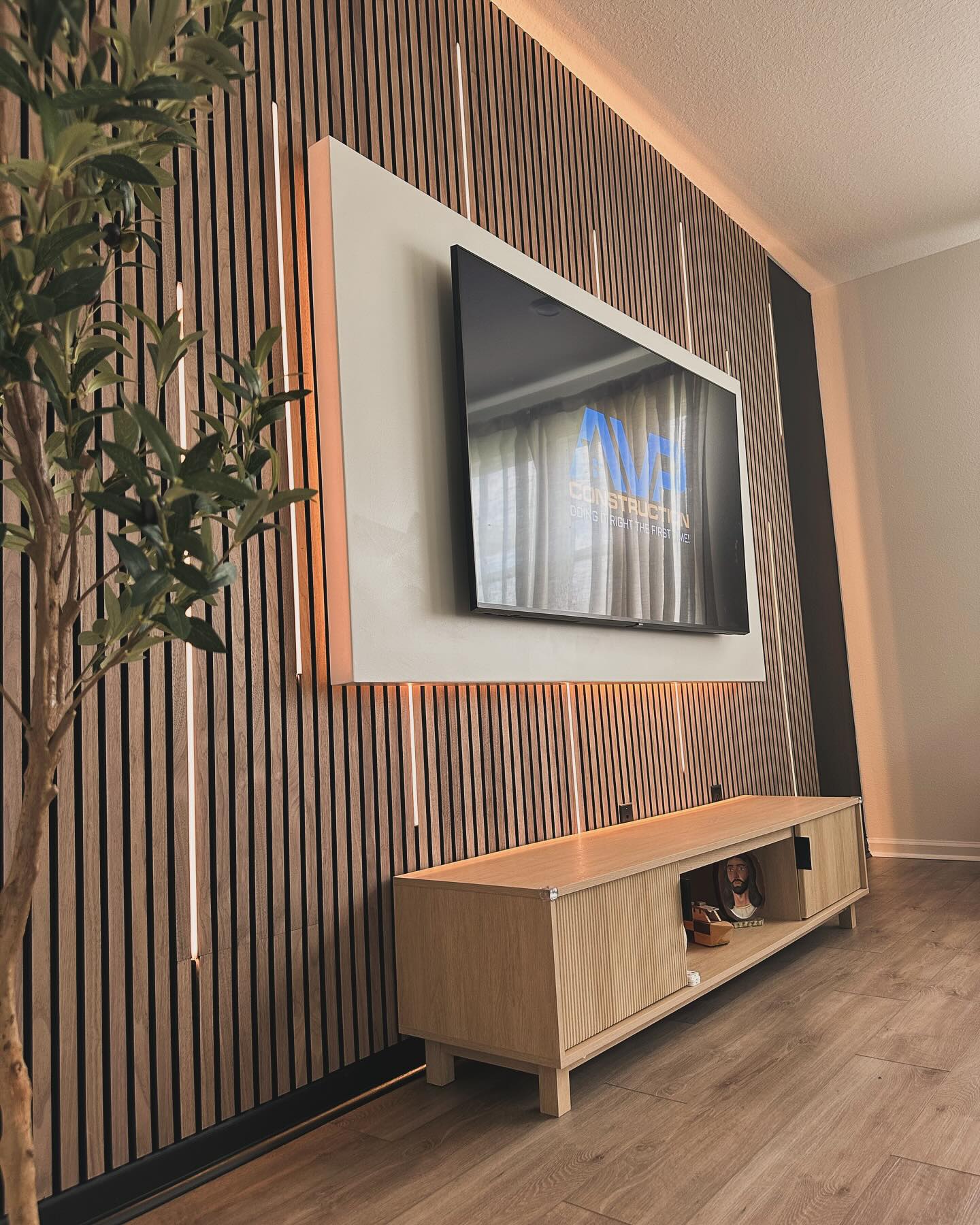TV Entertainment Centers project by AVP Construction JAX