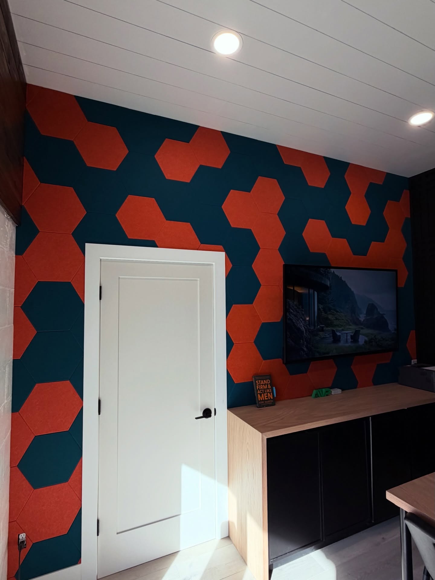 TV Entertainment Centers project by AVP Construction JAX