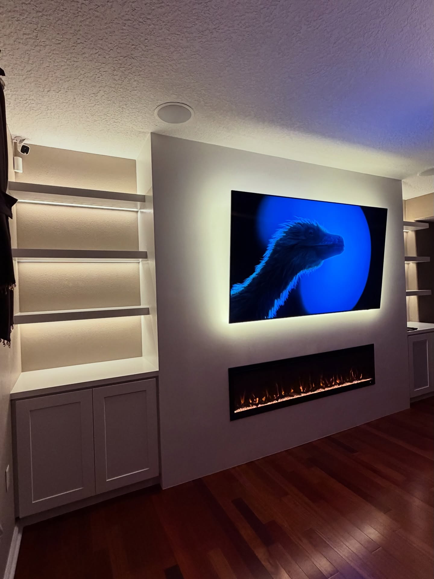TV Entertainment Centers project by AVP Construction JAX