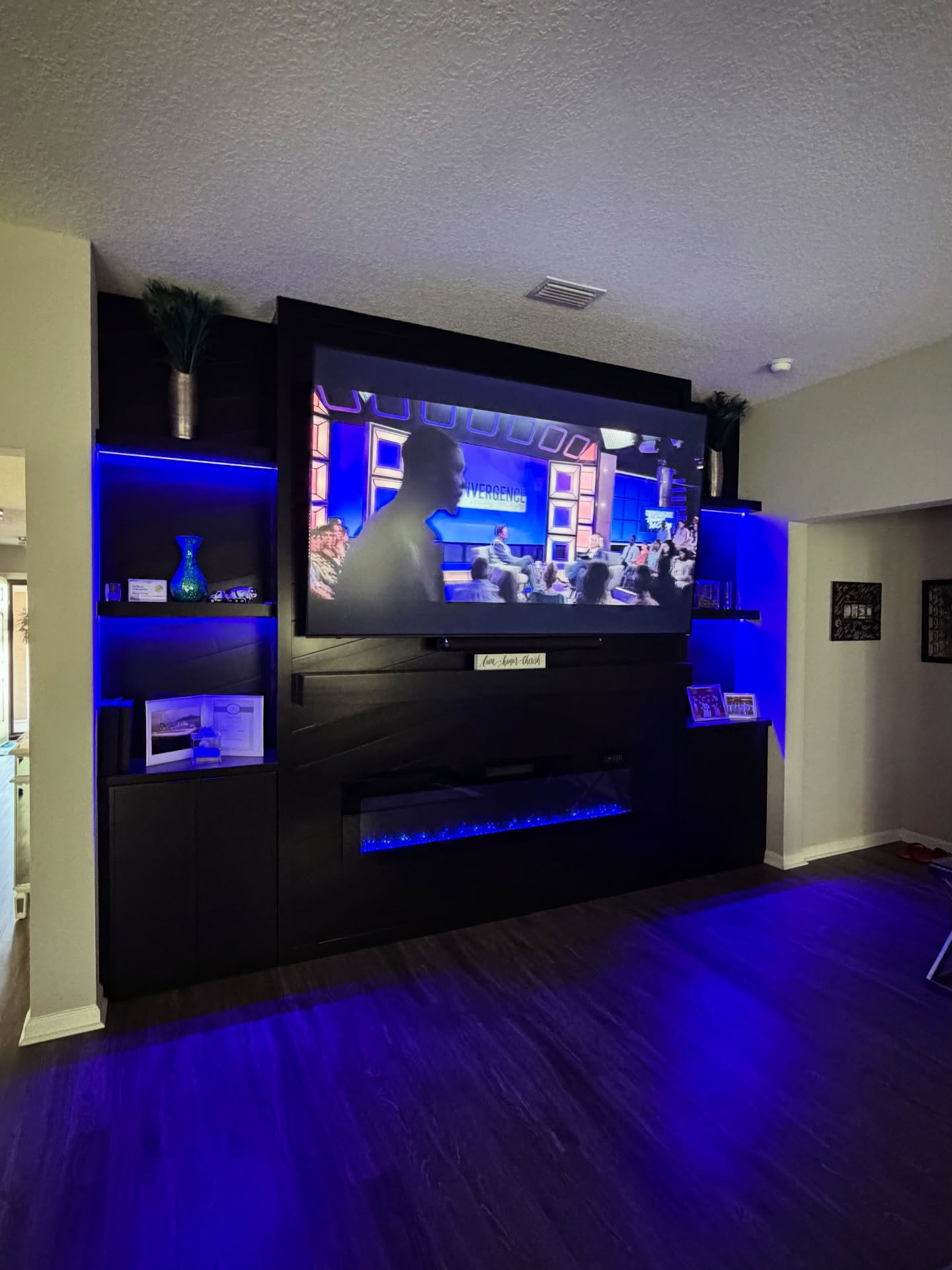 TV Entertainment Centers project by AVP Construction JAX