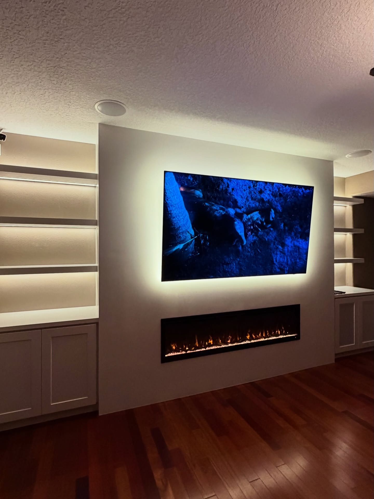 TV Entertainment Centers project by AVP Construction JAX
